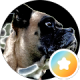 accounts/117771050128488263430/locations/2720742726749190048/reviews/AbFvOqlZ-4RUaVlDJ-5o_yJUnyh2eLoXDxb1vmlWMuwO3pVr67LeNXhVq7U9BghmZ_PM1fwEjJCIXw